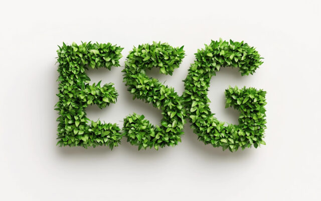 Strategia ESG – co to i dlaczego jest ważna?